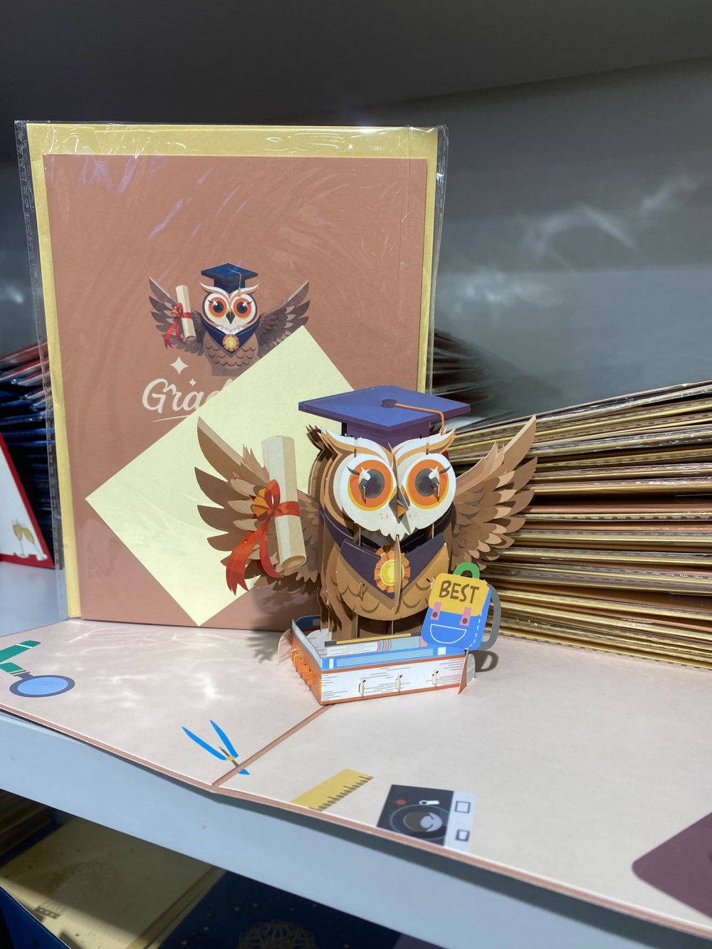 Graduation Season 3D Card  Owl Card