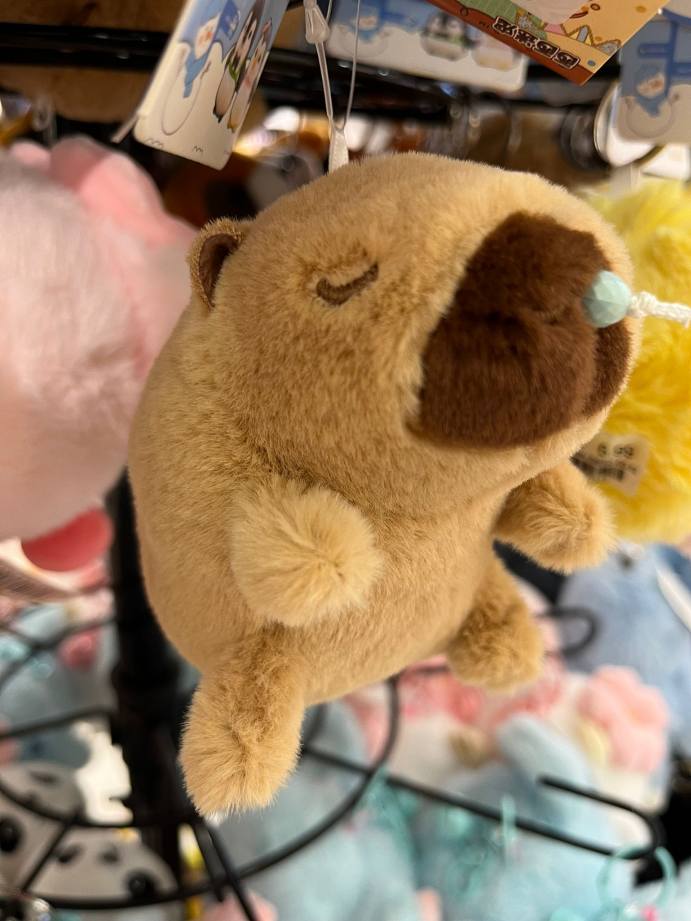 Pet Wagging Tail Capibara