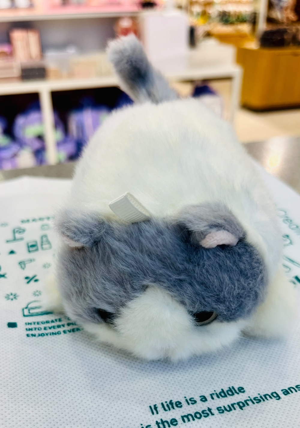 12 cm Jenga Grey Cat FBB