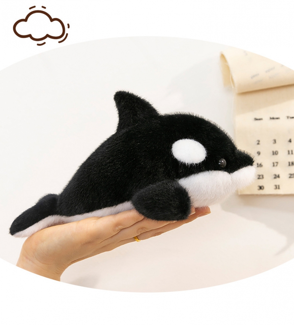 22Cm Palm-Sized Treasure Whale (Sd