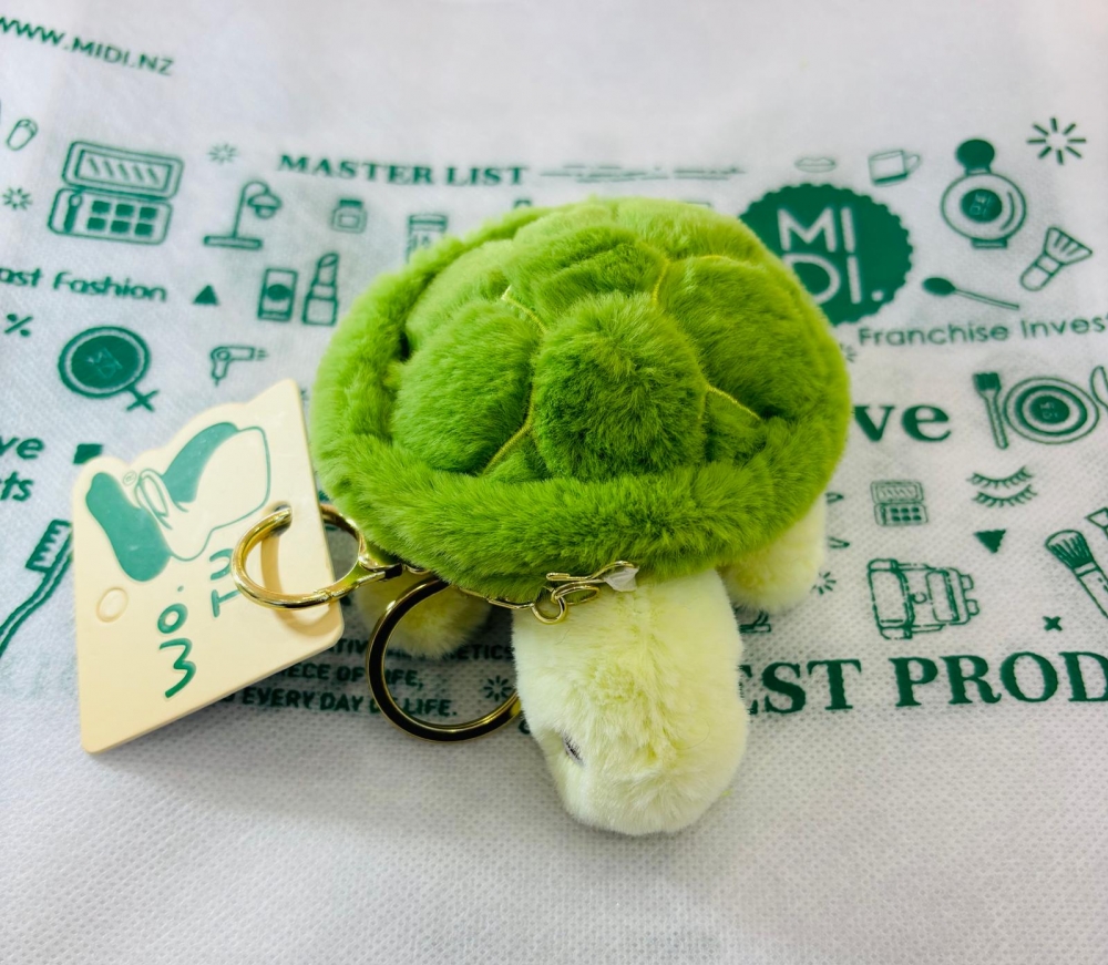 The Internet Famous Little Turtle