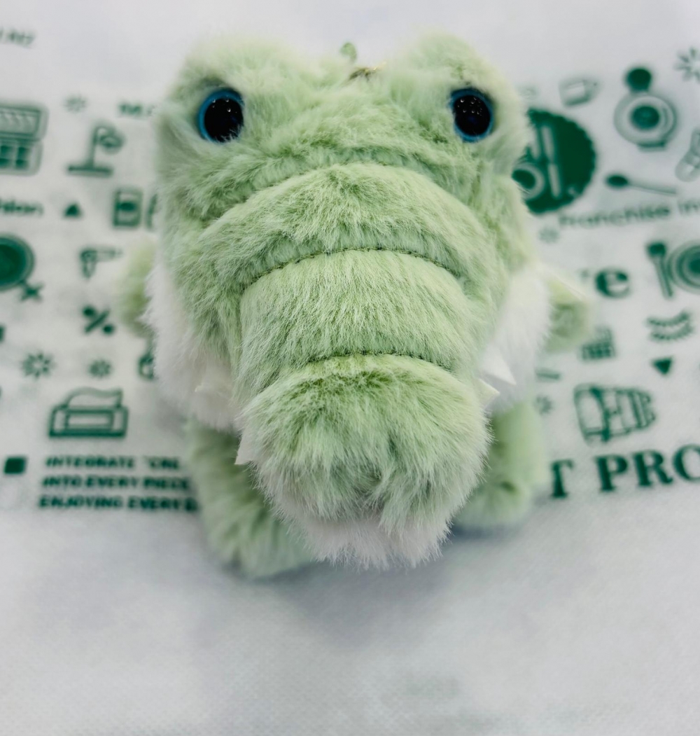 Cute And Soft Little Crocodile