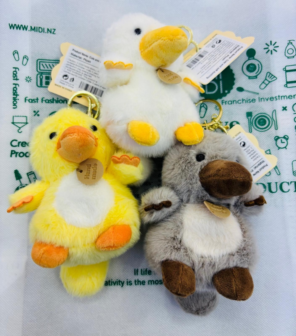 Cute And Soft Duckling