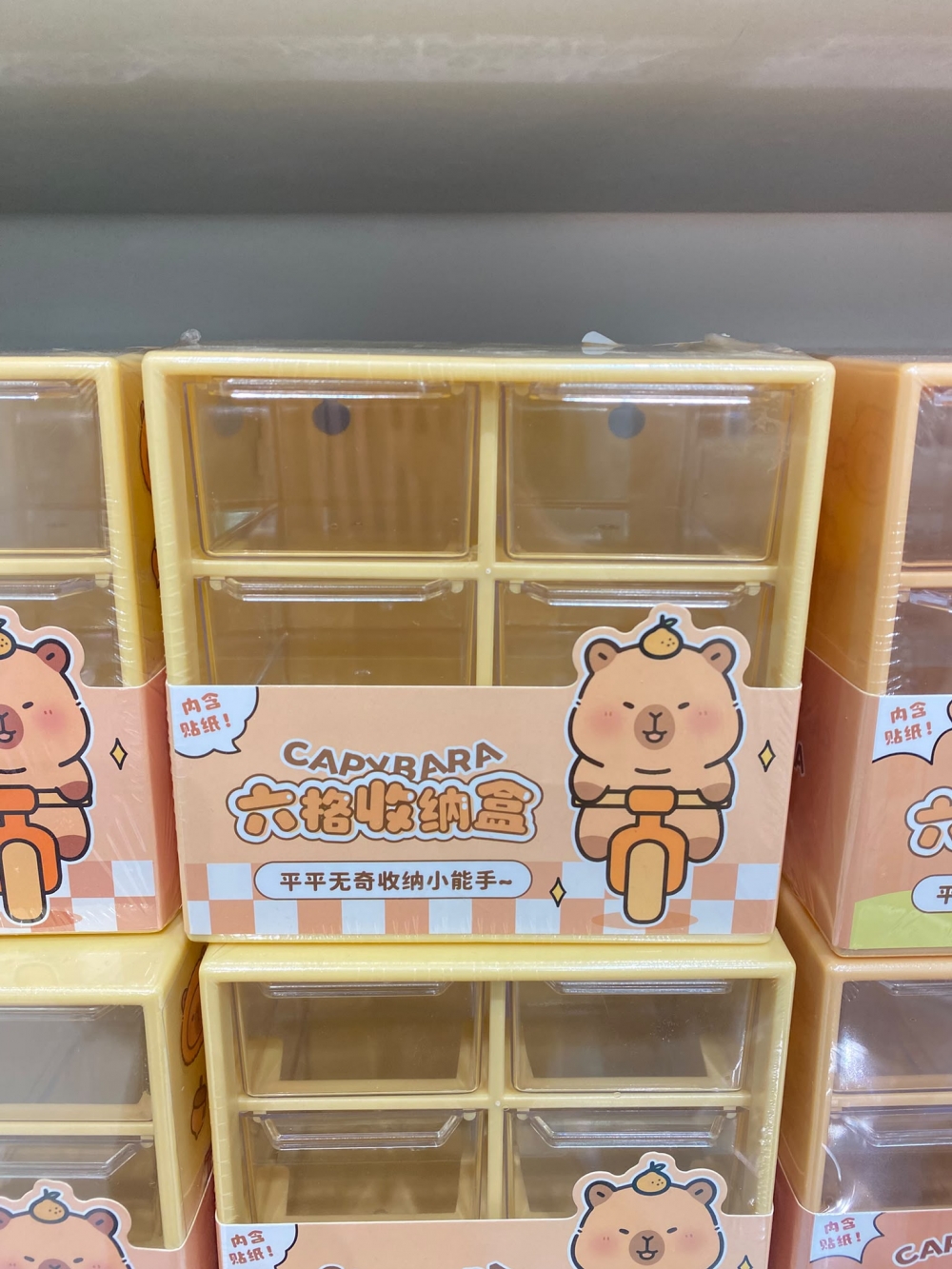 Capybara Six Compartment Drawer Organizer