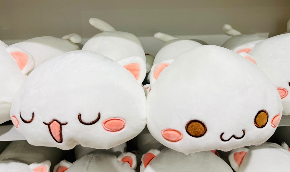 Cat Pillow