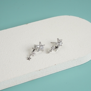 Delicate fashion earrings 01/ mixed